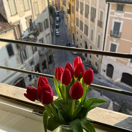 Funicolare Apartment *